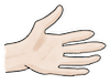 Hand