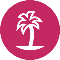 Palme